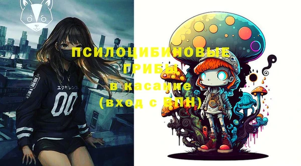 МДПВ Армянск
