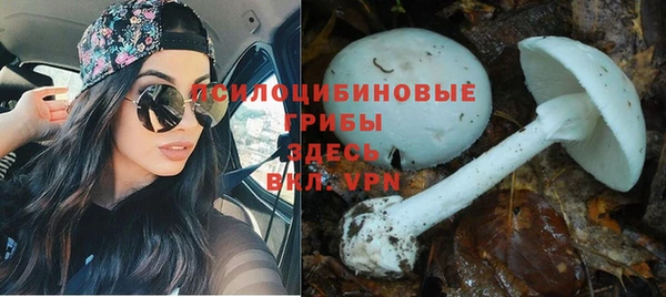 МДПВ Армянск