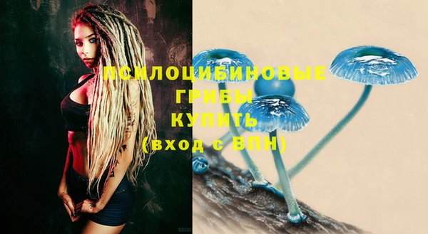 MESCALINE Каменка