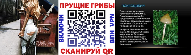 Галлюциногенные грибы Cubensis  Буинск 